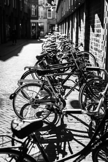 Amsterdam mama 2026-5737.jpg